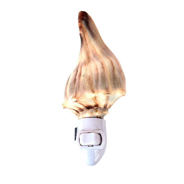 Whelk Shell Night Light