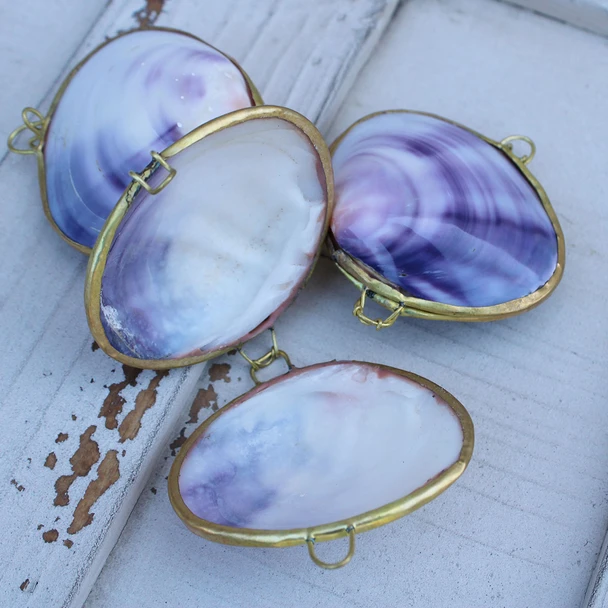 Purple Clam Coin Purse