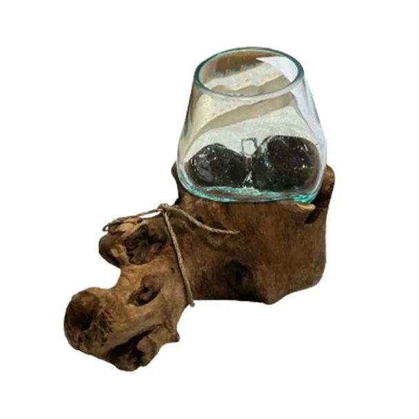 Glass Bowl on Driftwood