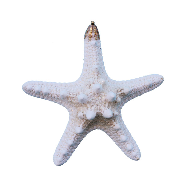 Small White Thorny Starfish Glitter Ornament