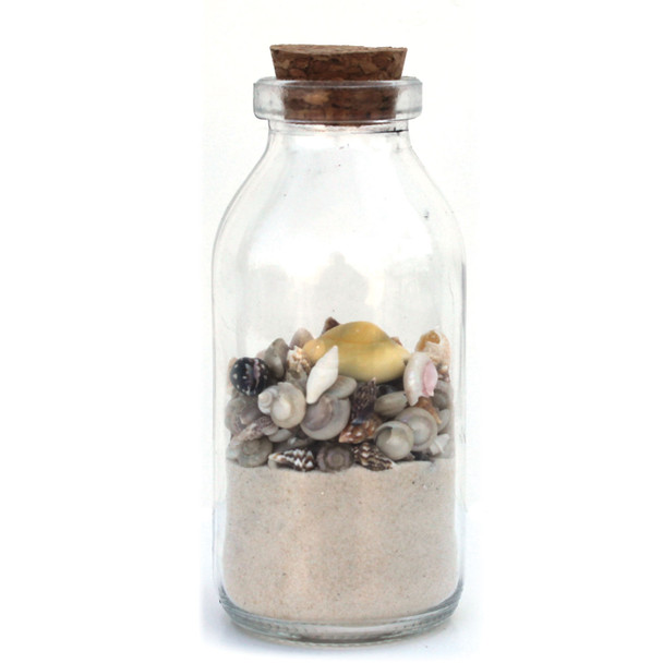 Shell-Filled Bottles with White Sand