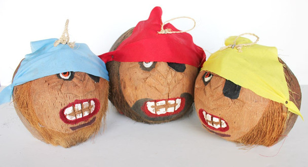 Pirate Coconut Heads - 1 Dozen