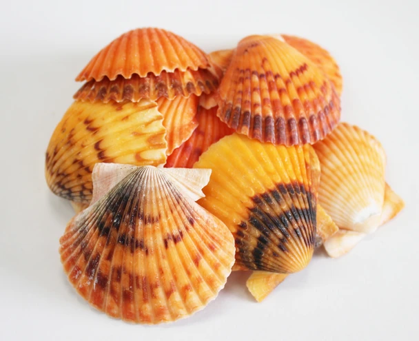 Orange Calico Pectins
