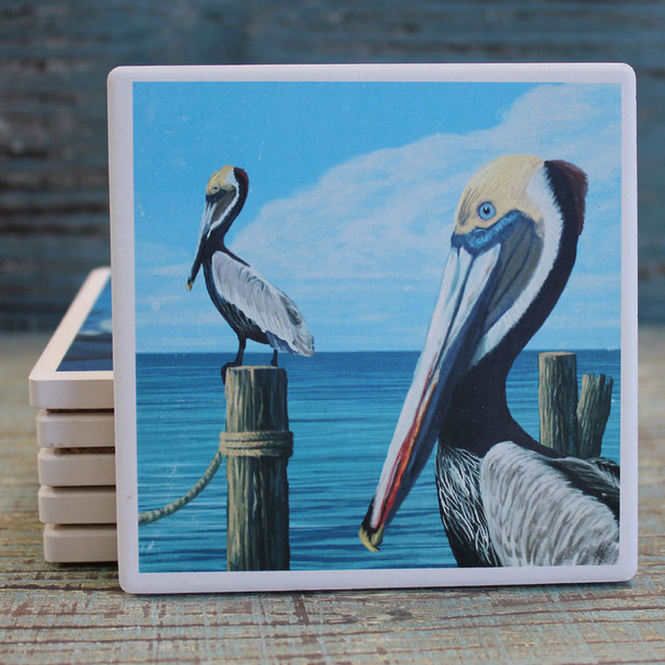 Brown Pelicans Coaster