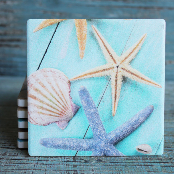 Starfish & Shell on Blue