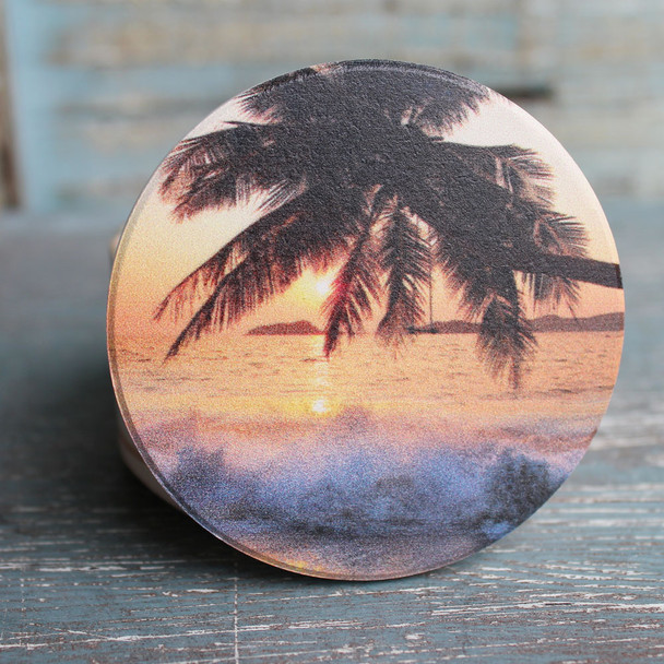 Palm at Sunset