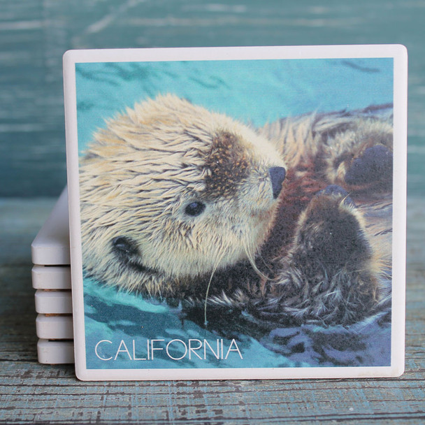 California Sea Otters Coaster