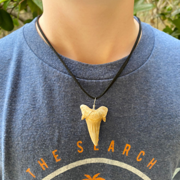 Fossil Shark Tooth Necklace