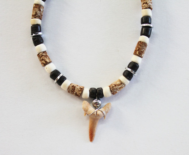 Shark Tooth Necklace