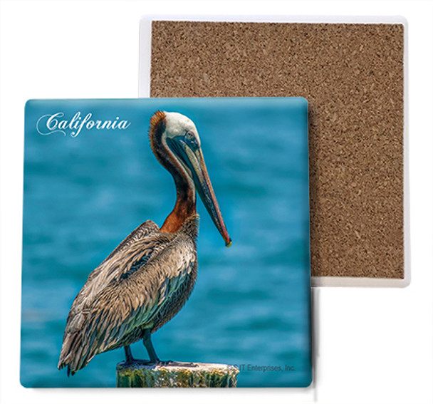 Pelican Coaster with California