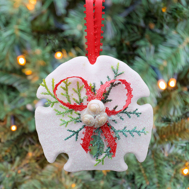 Sand Dollar Ornament on Christmas Tree with Lights