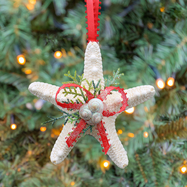 Bumpy Starfish Ornament