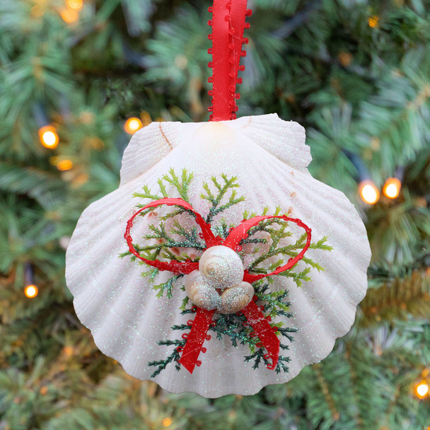 Irish Scallop Shell Ornament on Tree