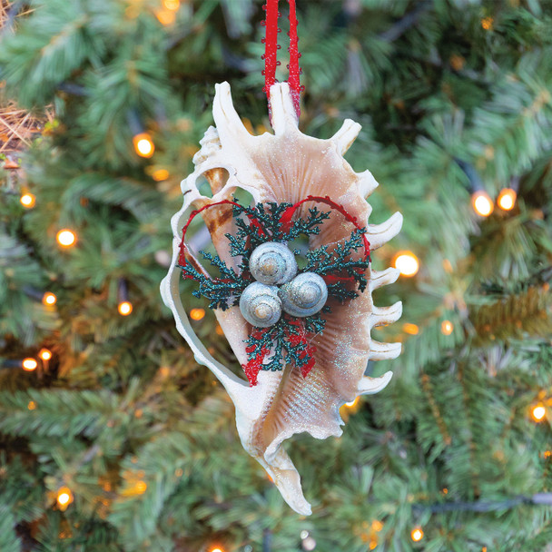 sliced shell ornament on tree