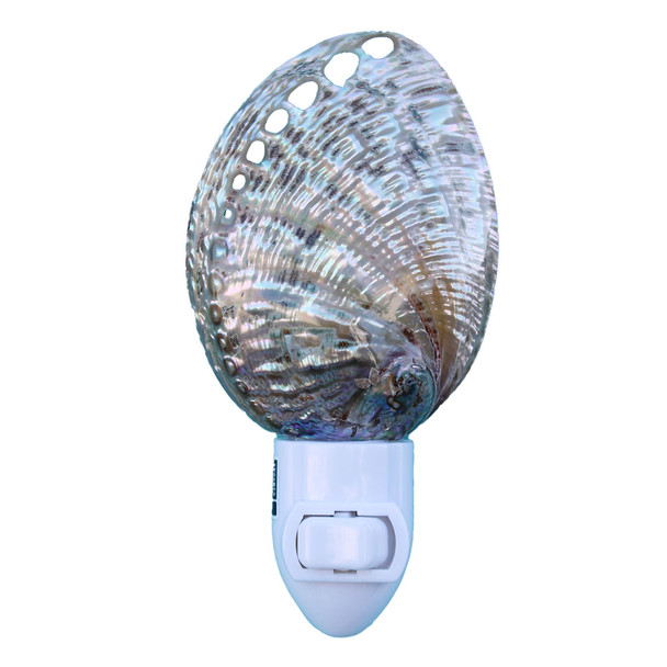 Small Polished Green Abalone Night Light