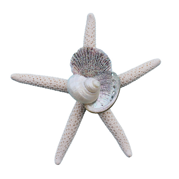White Finger Starfish Collage Magnet