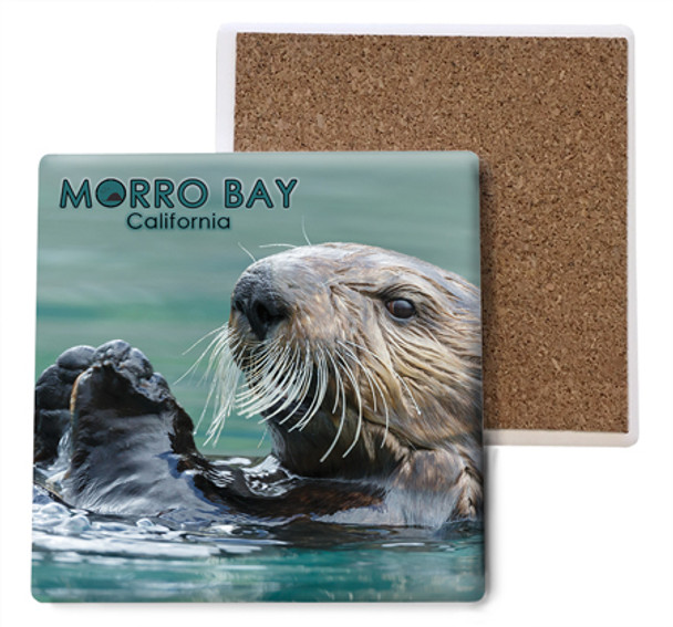 Morro Bay Otter Coaster
