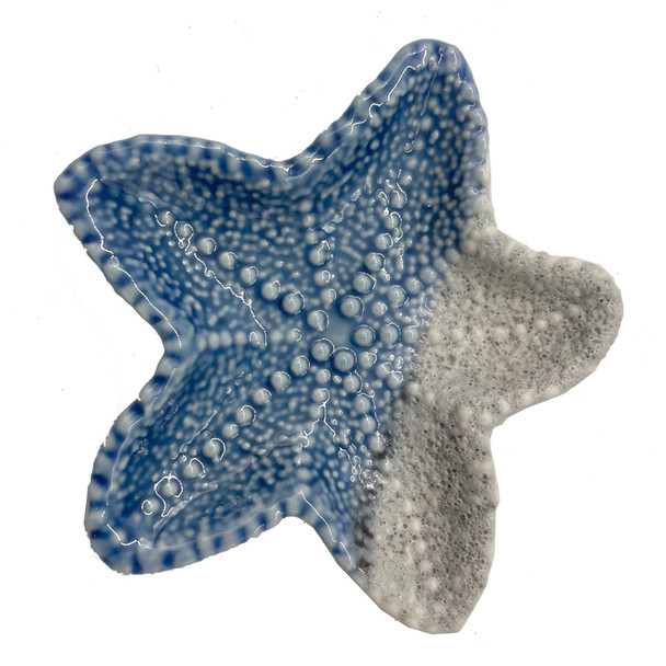 Starfish Dish