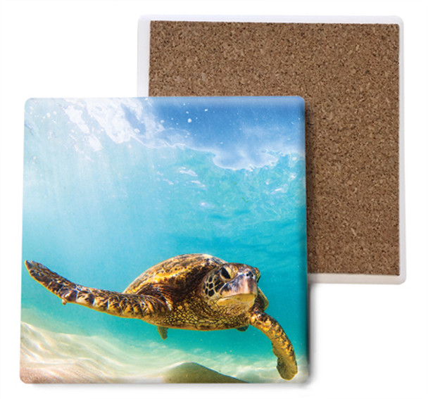 Swimming Sea Turtle Coaster