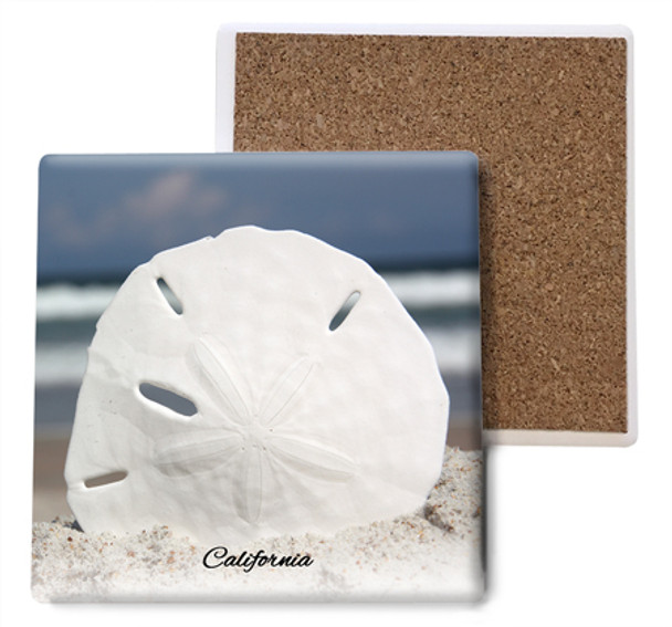 CA Sand Dollar Coaster