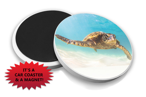 Sea Turtle Car Coaster