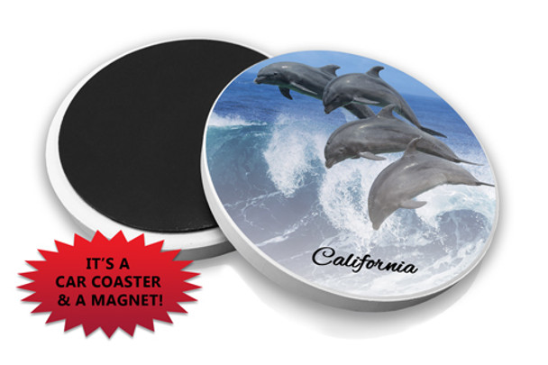 California Dolphins CAr Coaster