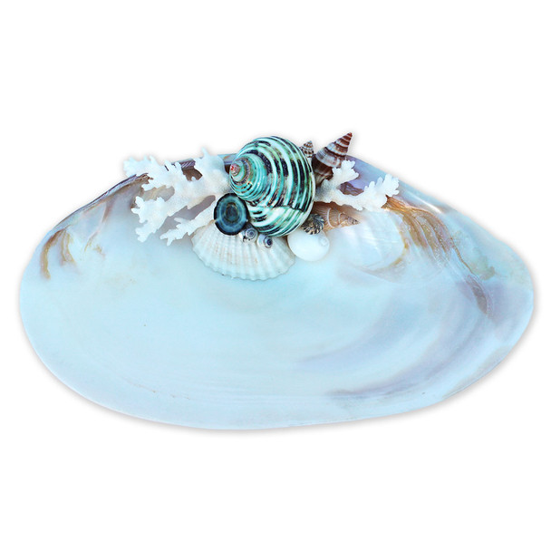 Green Turbo - Large Oyster Ring Dish