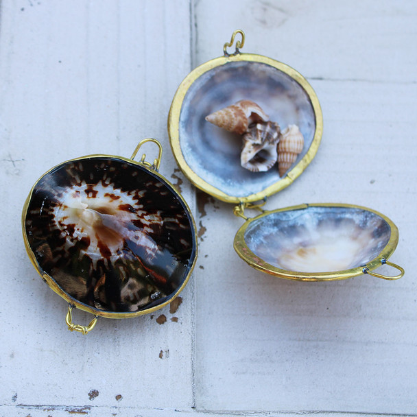 Limpet Shell Coin Purse