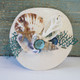 Keyhole Sand Dollar Sea Fan Collage Magnet