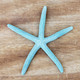 Aqua Dyed Finger Starfish