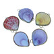 Colorful Pectin Shell Coin Purse