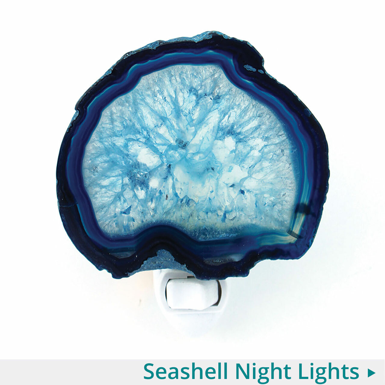 Seashell Night Lights