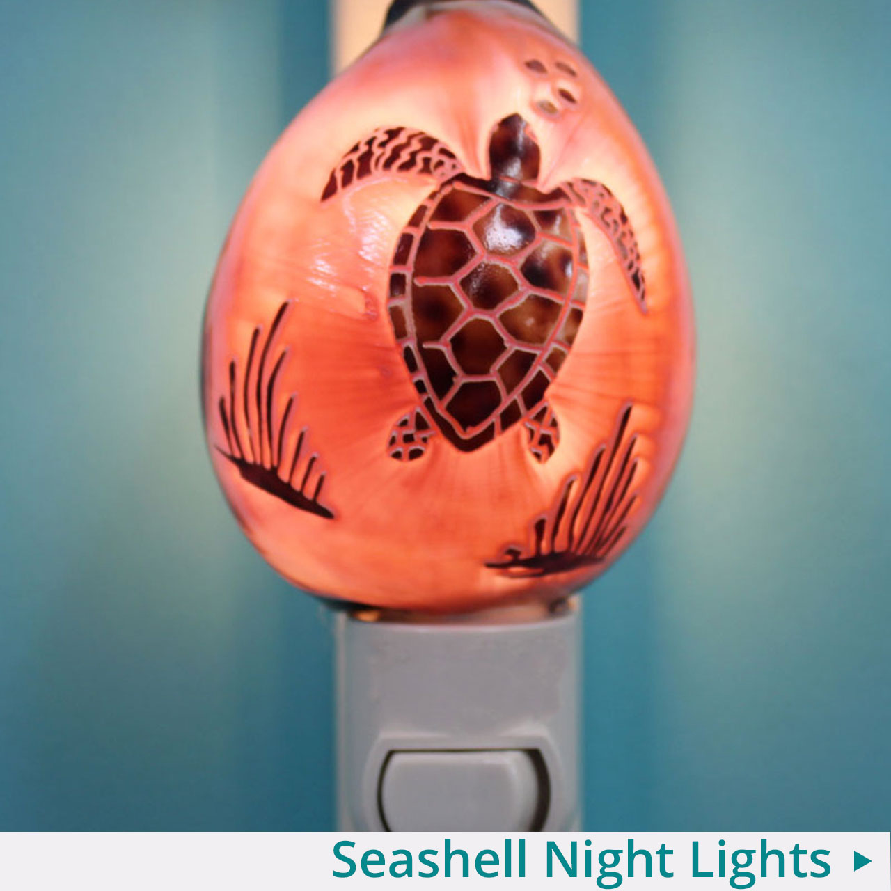 Seashell Night Lights