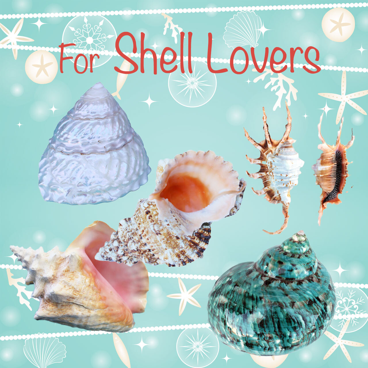 Gifts for the Pet Lover