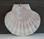 Large Irish Flat Glitter Seashell Ornament