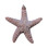 Small Sugar Starfish Glitter Christmas Ornament - Handmade in Huntington Beach, California, USA