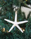 Small White Finger Starfish Glitter Christmas Ornament - Handmade in Huntington Beach, California, USA