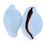 Egg Cowrie Shell