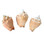 Light Fighting Conch Shells