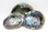 Blue/Green Abalone Shells