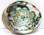 7-8" Blue/Green Abalone Shell
