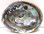 6-7" Blue/Green Abalone Shell
