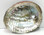 3-5" Blue/Green Abalone Shell
