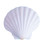 White Irish Scallop Seashell 4"+