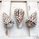 Marble Cone Seashell
