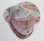 Red Abalone Seashells