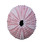 Pink Sea Urchin Magnet