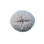 Mushroom Coral Magnet