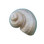 Pearl Turbo Magnet