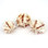 Cut Shells